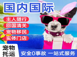 北京航空快运国际宠物托运 【国